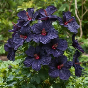 Гибискус Мэджик Момент купить по цене от 699р. в интернет-магазине «Посадика» с доставкой почтой в в Окуловкае и по всей России – [изображение №1].